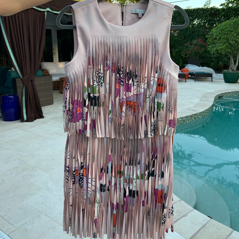 Alexis Light Pink Fringe Mini Dress